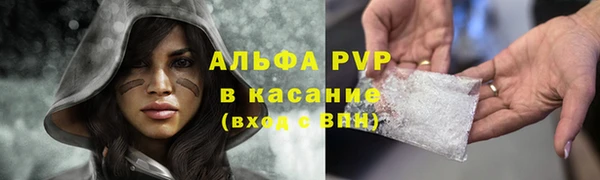 ПСИЛОЦИБИНОВЫЕ ГРИБЫ Гусиноозёрск