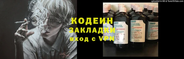 ПСИЛОЦИБИНОВЫЕ ГРИБЫ Гусиноозёрск