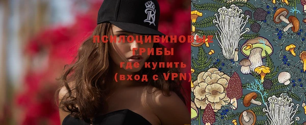 молекула духа Горно-Алтайск